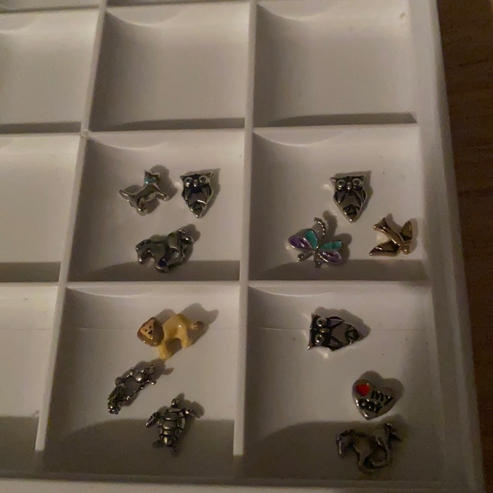 Origami owl charms